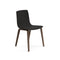 Aava Outdoor Wood Dining Chair with Wood Legs  option L0006 Black / L28 Walnut