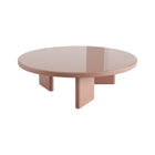 Roopa Coffee Table
