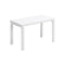 Aalto Bench  option White Lacquered Birch
