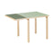 Aalto Foldable Dining Table  option Pistachio Linoleum / Olive Linoleum