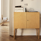 Cabinet 250