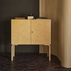 Cabinet 250