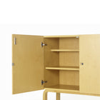 Cabinet 250