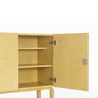 Cabinet 250
