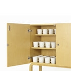 Cabinet 250