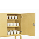 Cabinet 250