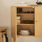 Cabinet 250