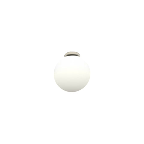 Dioscuri Wall/Ceiling Light