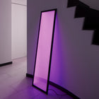 Discovery LED Floor Lamp