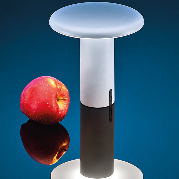 Takku Portable LED Table Lamp