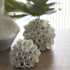 Dakota Vase (Set of 2)