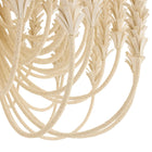 Kaia Chandelier