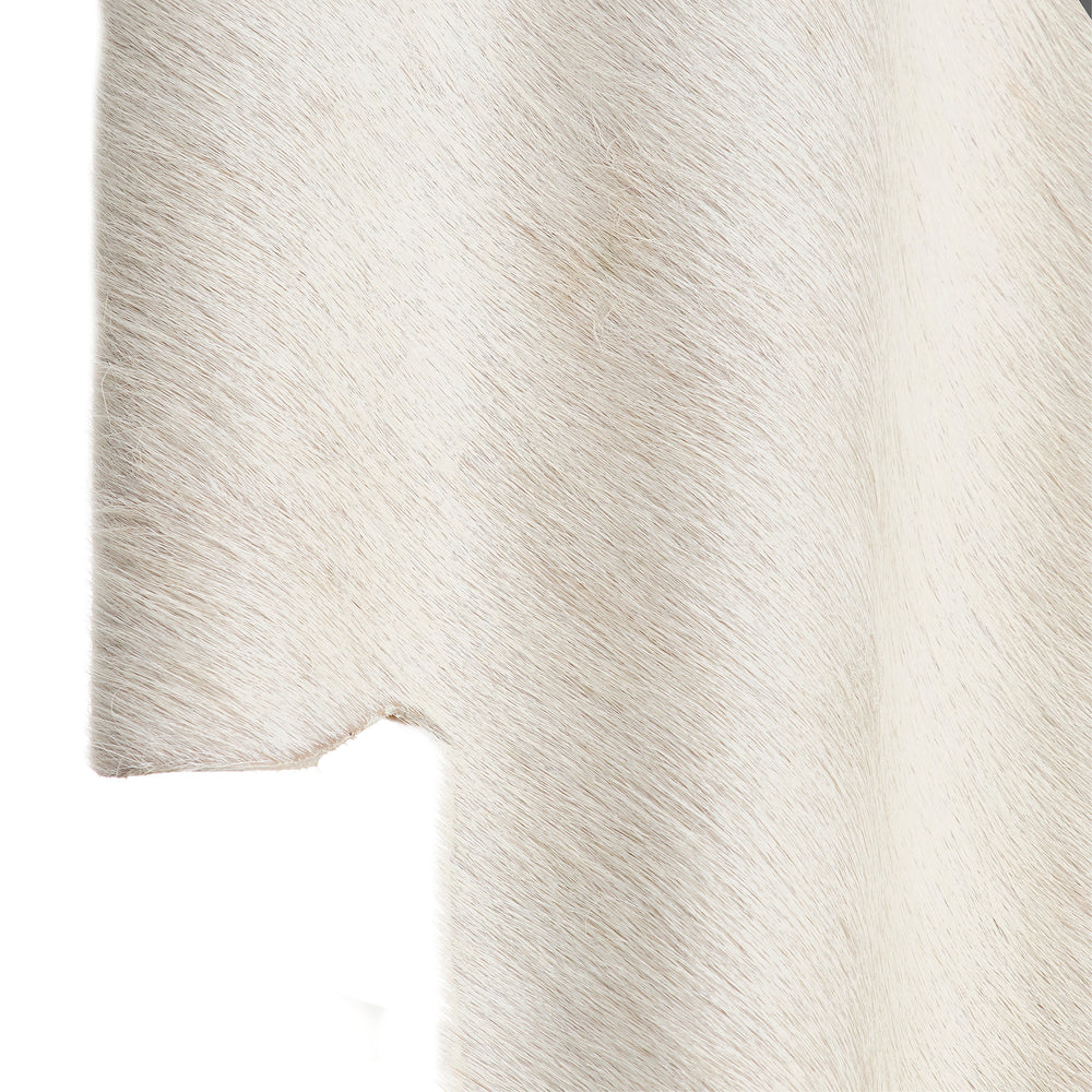 Larissa Wall Sconce