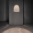 Onn Pendant Light