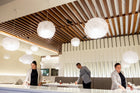 Pili Pendant Light