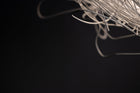 Pili Pendant Light
