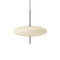 Model 2065 LED Pendant Light  option White / Black