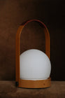 Carrie Portable Indoor/Outdoor LED Lamp