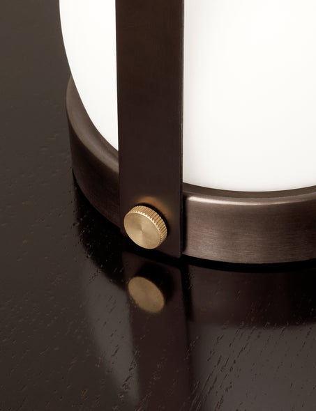 Carrie Portable Indoor/Outdoor LED Lamp