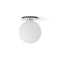 TR Bulb Ceiling / Wall Light  option Polished Steel