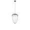 Alysoid Pendant Light  option Black Polished Nickel