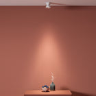 DoDot Wall / Ceiling Light