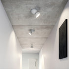 DoDot Wall / Ceiling Light
