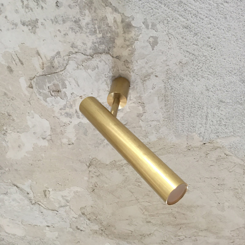 Ego Wall/Ceiling Light