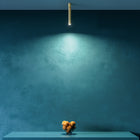 Ego Wall/Ceiling Light