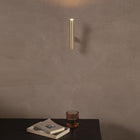 Ego Wall/Ceiling Light