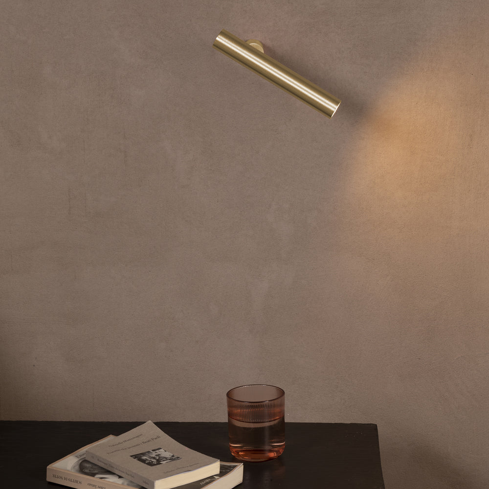 Ego Wall/Ceiling Light