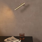 Ego Wall/Ceiling Light