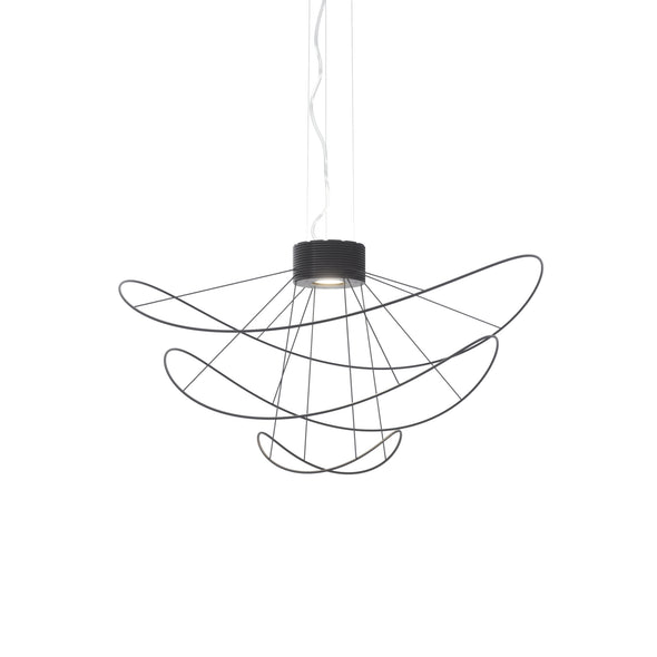 Hoops Pendant Light
