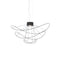 Hoops Pendant Light  option Black