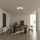 Manifesto Wall/Ceiling Light