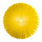 Muse Wall/Ceiling Light  option Yellow