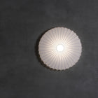 Muse Wall/Ceiling Light