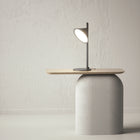 Orchid Table Lamp