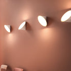 Orchid Wall/Ceiling Light