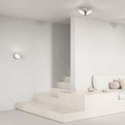 Orchid Wall/Ceiling Light
