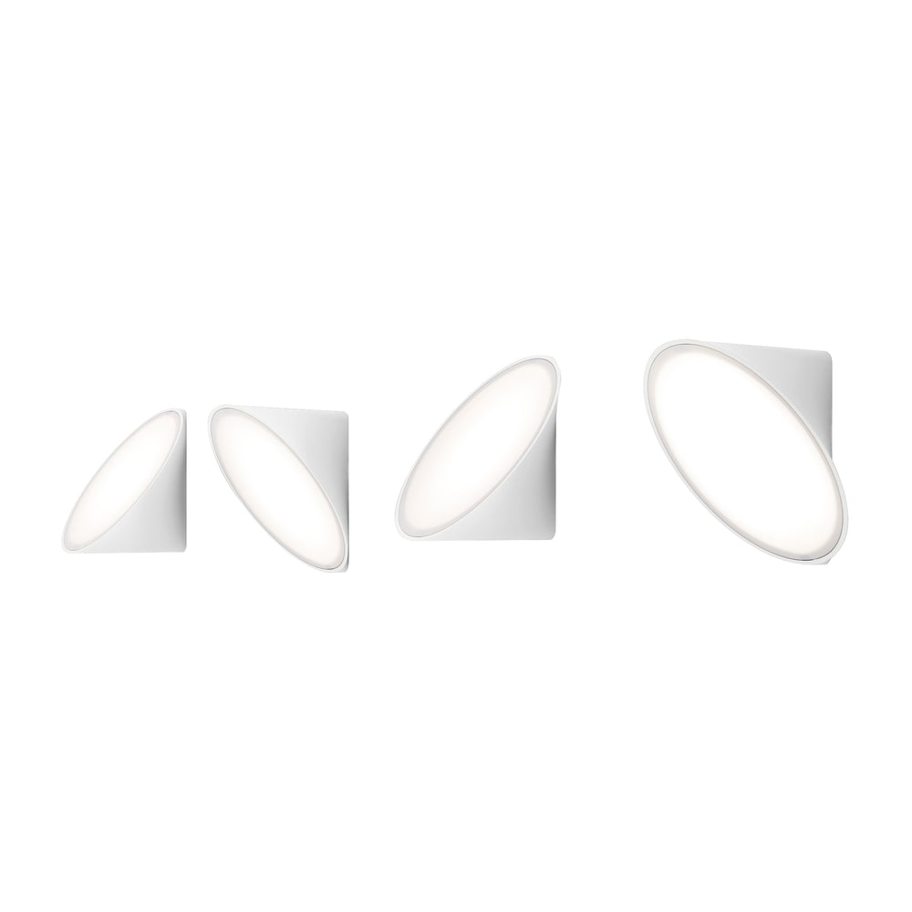 Orchid Wall/Ceiling Light
