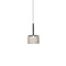 Spillray Plus Pendant Light  option Grey