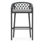 Amelia Stool  option Ash / Fog Solvita