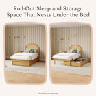 Bondi Cane Bed