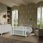 Rolli 9-in-1 Convertible All-Stages Crib with Bassinet and Toddler Bed Conversion Kits