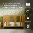 Rolli 9-in-1 Convertible All-Stages Crib with Bassinet and Toddler Bed Conversion Kits
