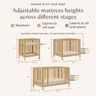 Rolli 9-in-1 Convertible All-Stages Crib with Bassinet and Toddler Bed Conversion Kits