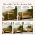 Rolli 9-in-1 Convertible All-Stages Crib with Bassinet and Toddler Bed Conversion Kits