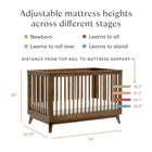 Scoot 3-in-1 Convertible Crib with Toddler Bed Conversion Kit