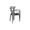 Gaulino Dining Armchair Set  option Set of 2
